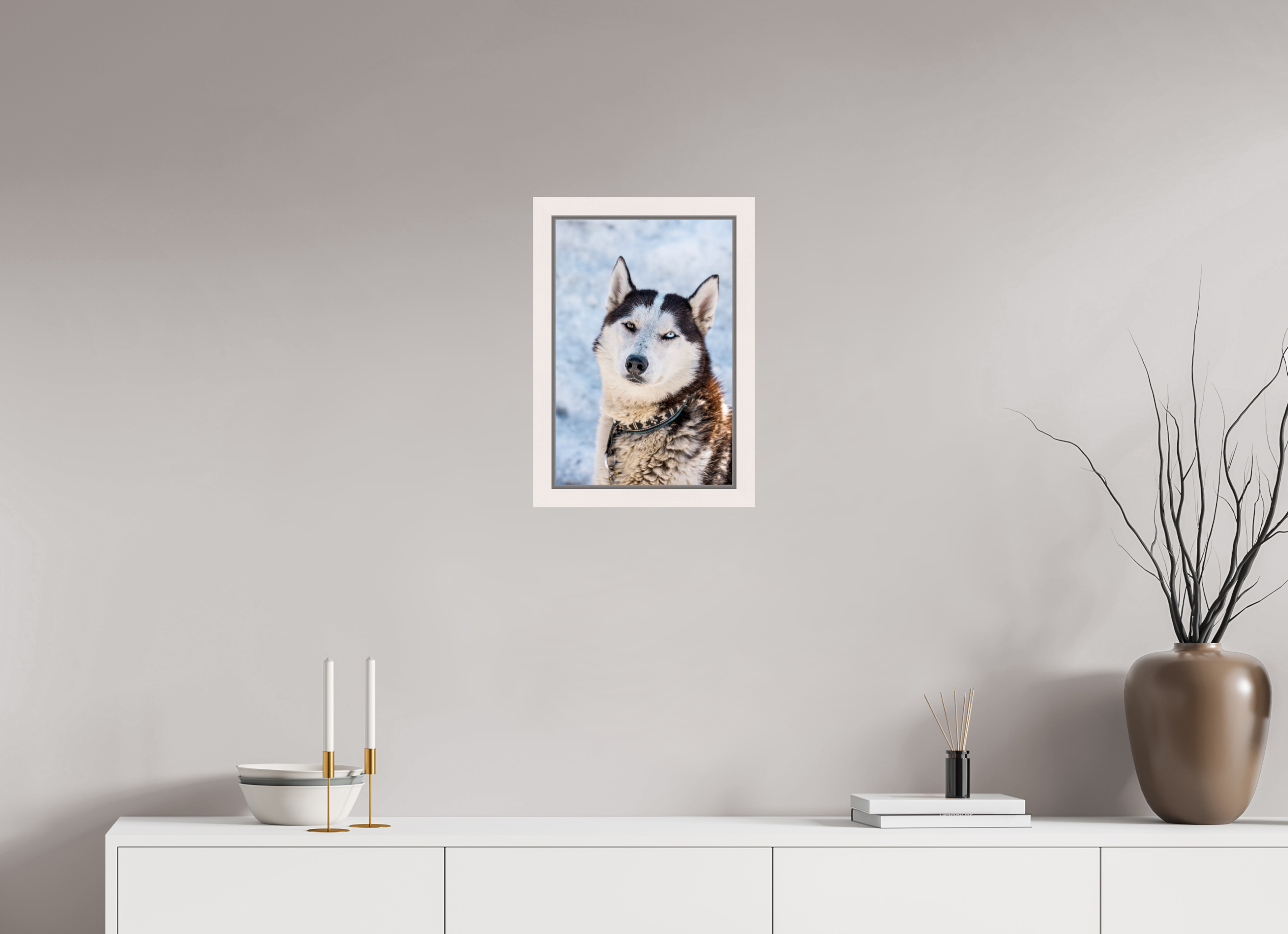 30 x 45 cm, Framed Plexi Siberian husky
