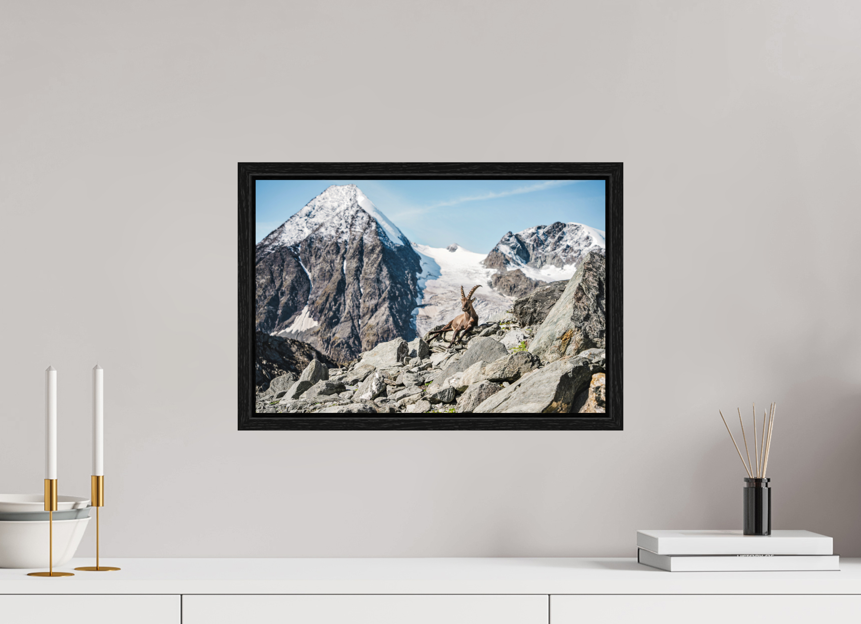 45 x 30 cm, Floater Frame Alpine Ibex in Verbier with Grand Combin Glacier – Fine Art Wildlife Photography Print