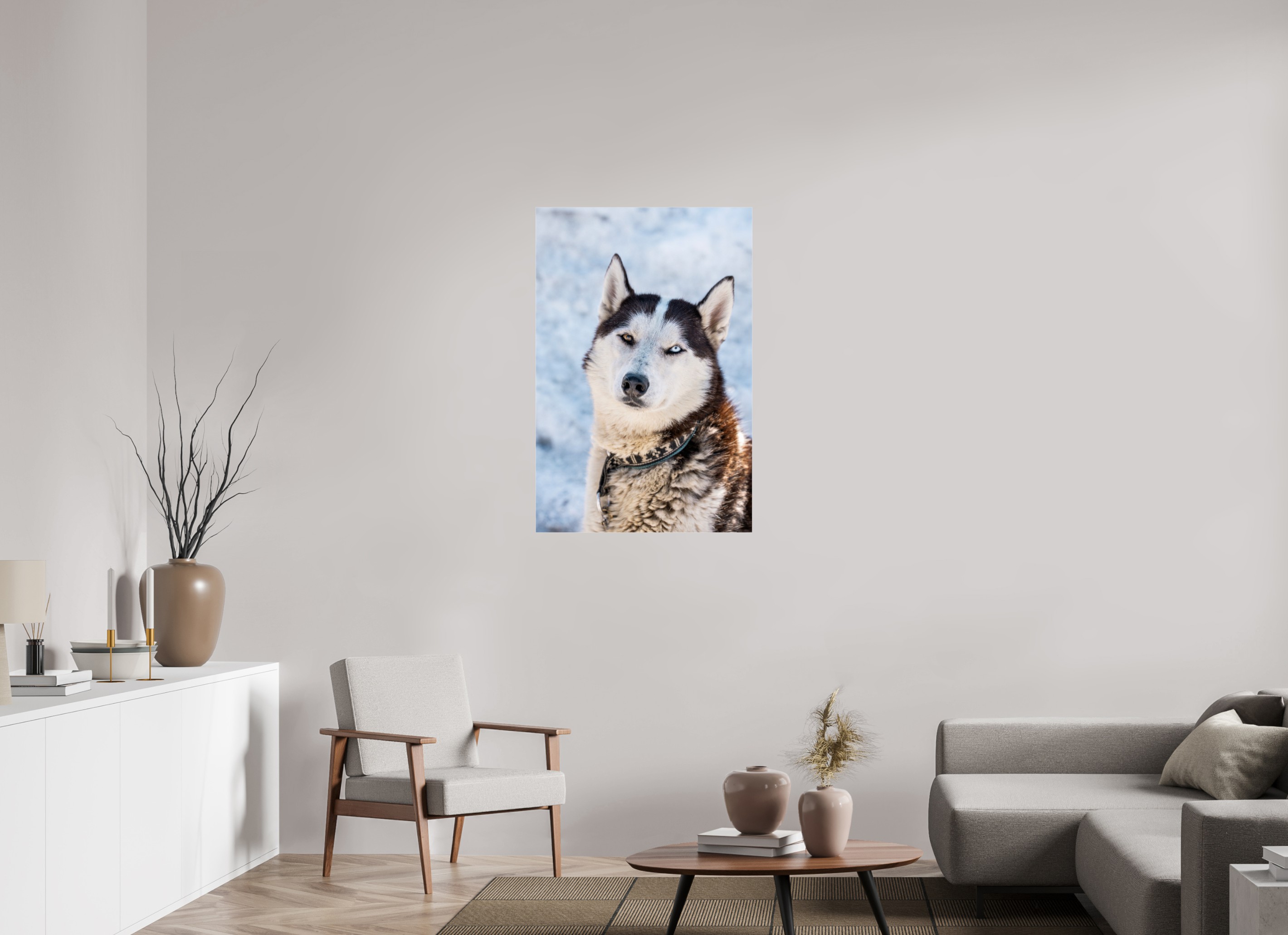 70 x 105 cm, Photos Plexi Siberian husky