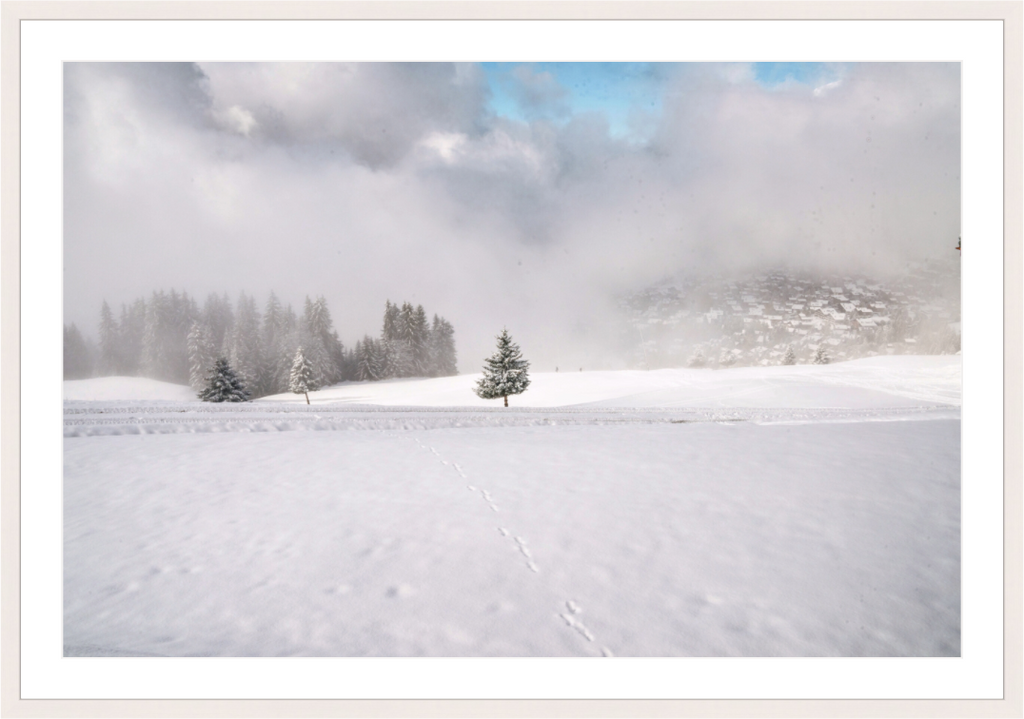 Main image One Tree Verbier