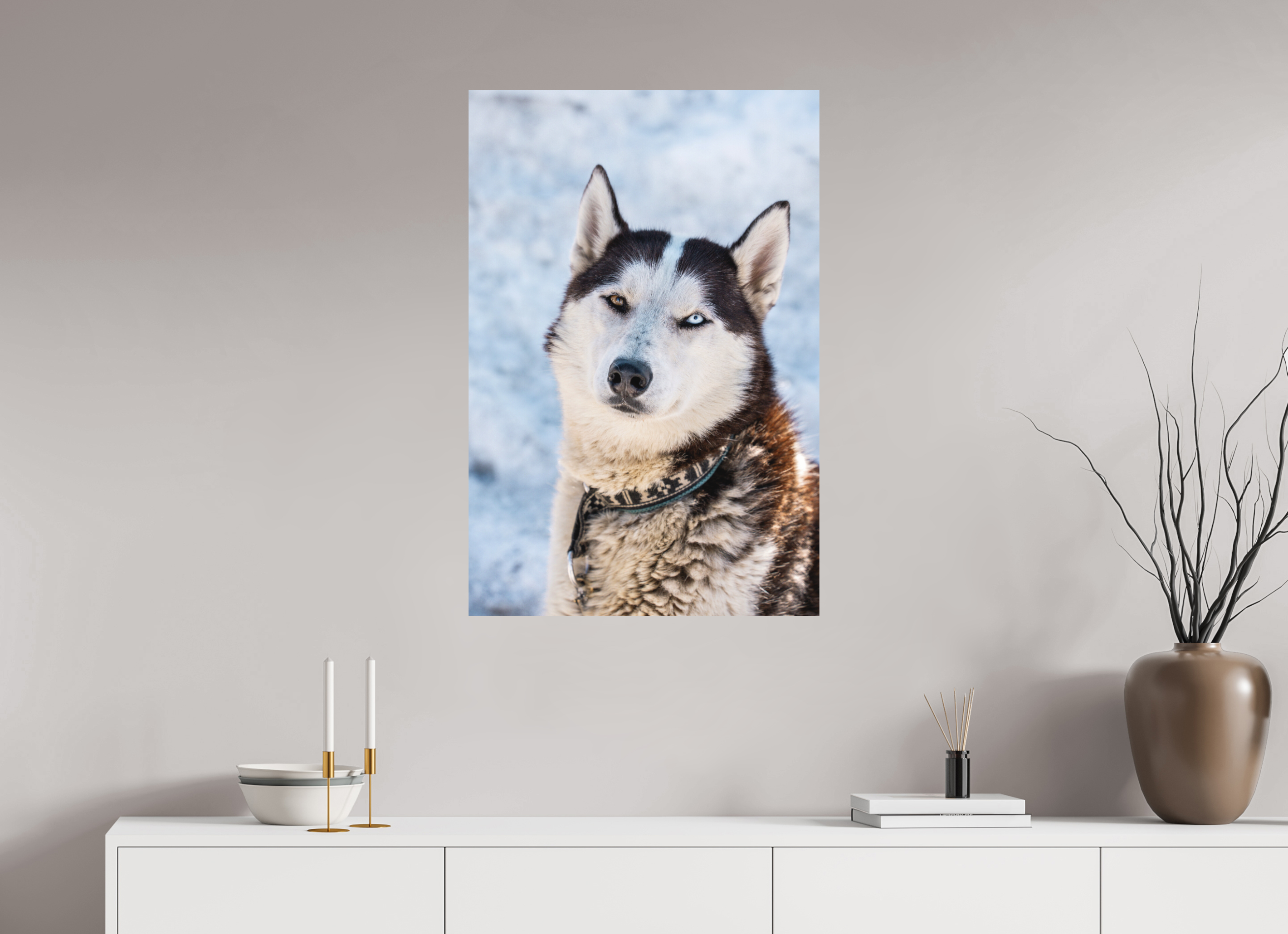 60 x 90 cm, Alu Dibond Metalic Suspension System Siberian husky