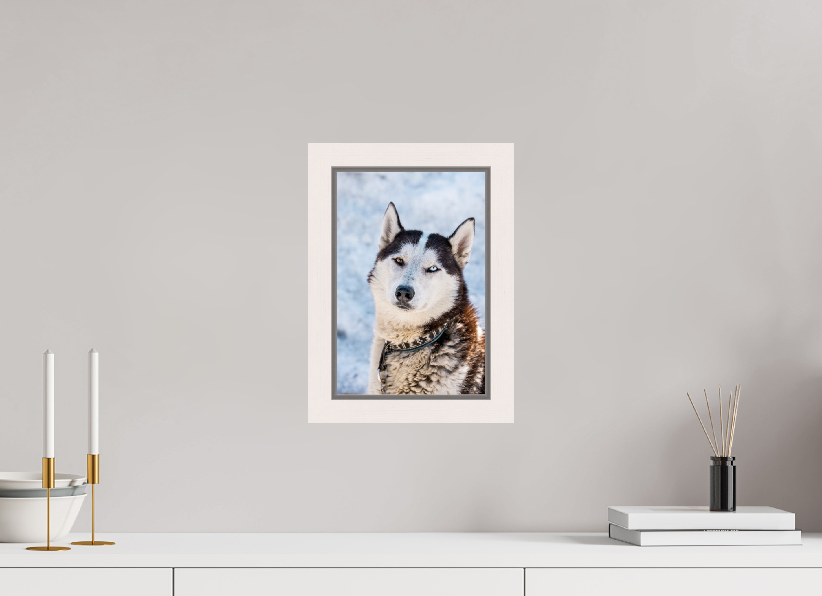 20 x 30 cm, Framed Plexi Siberian husky