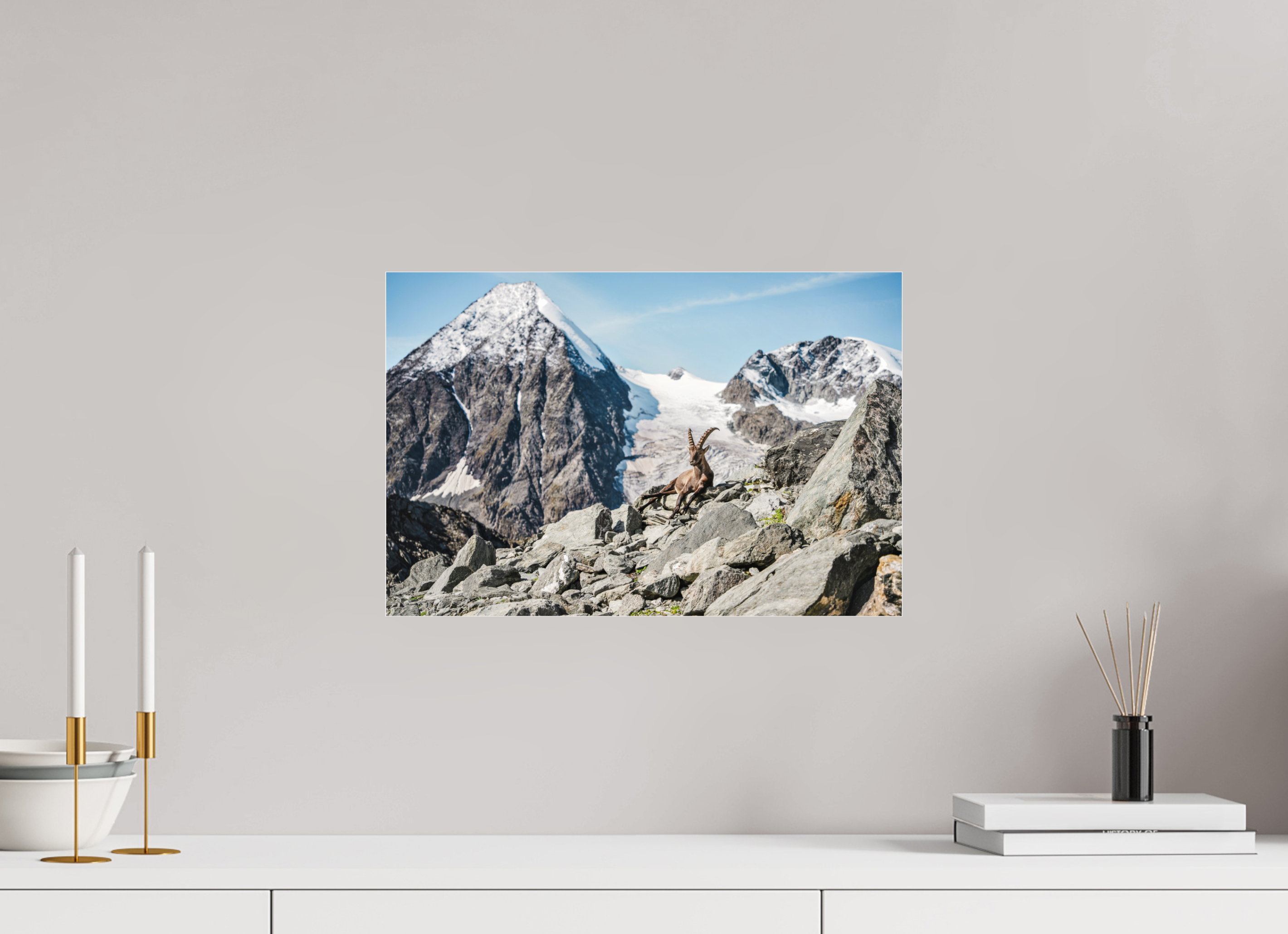 45 x 30 cm, Photos Plexi Alpine Ibex in Verbier with Grand Combin Glacier – Fine Art Wildlife Photography Print