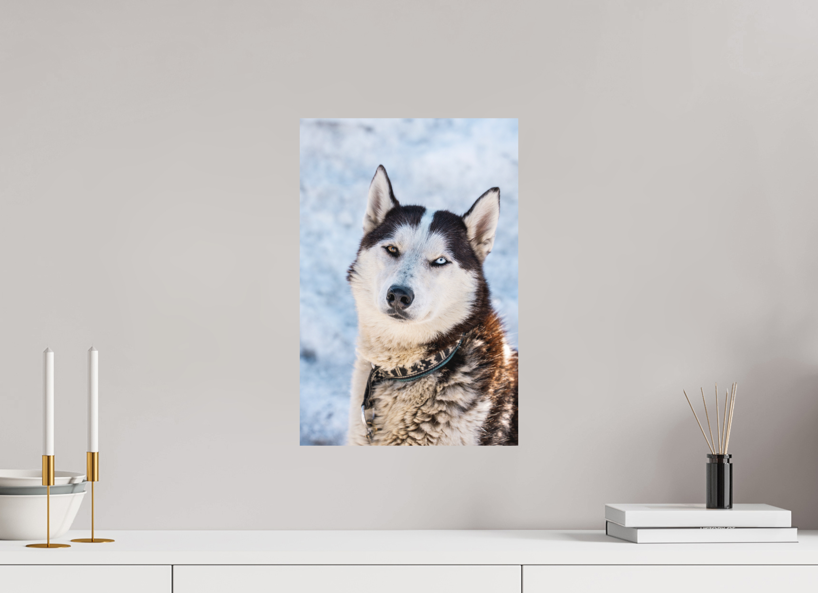 30 x 45 cm, Alu Dibond Metalic Suspension System Siberian husky