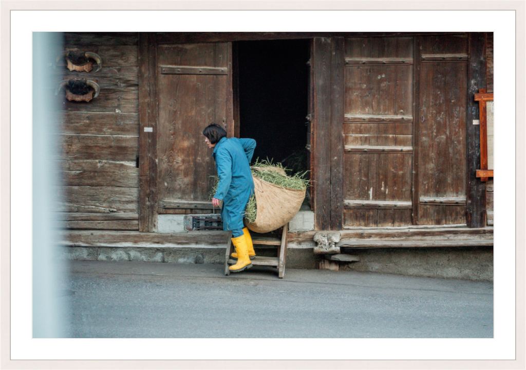 Main image Farm Worker Bruson