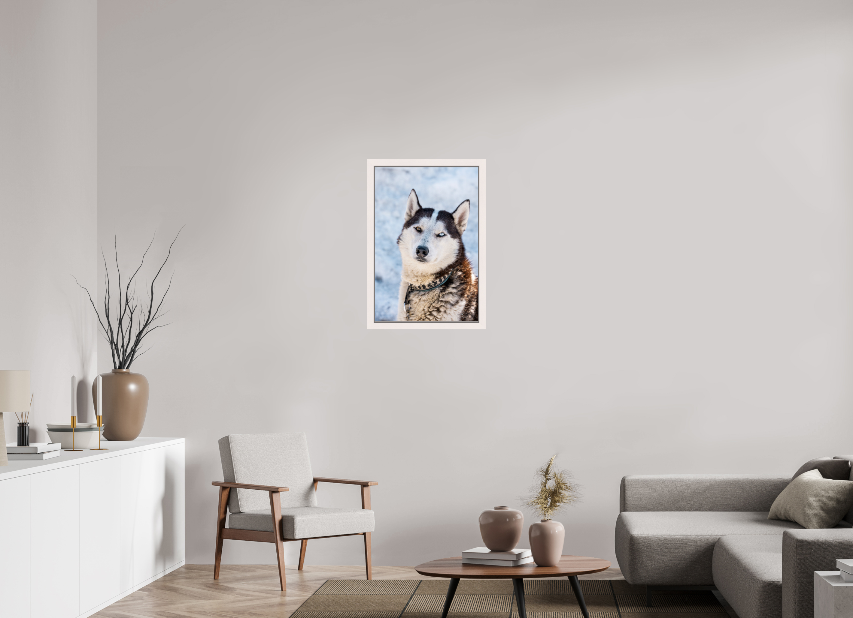 50 x 75 cm, Framed Plexi Siberian husky